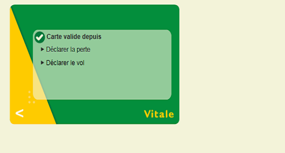 Ccas Declarer La Perte Ou Le Vol De Ma Carte Vitale